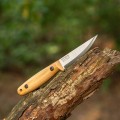 BPS-FL-FINN-Lite-04.jpg