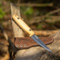 BPS-FL-FINN-Lite-05.jpg