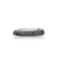 Petrified-Fish-PF-719-CS-Patte-03.jpg