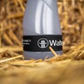 WTG-Active-55cl-Black-NEW-Lid-2025-09.jpg