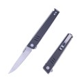 Real-Steel-Kikashi-8071CS-popr01.jpg