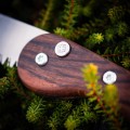 Woxna-Ljusnan-250-side-saw-113025-10.jpeg